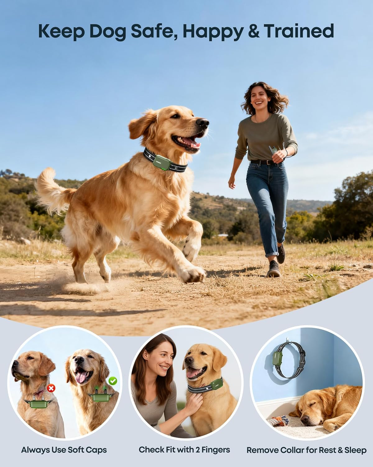 Dog Training Shock Collar