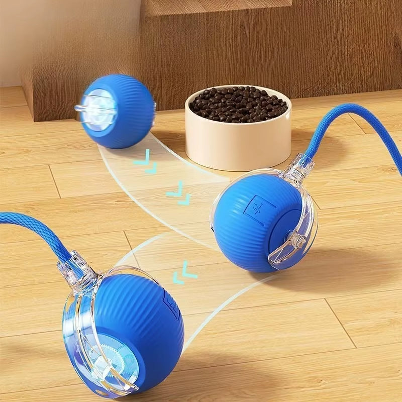 Interactive Cat Rolling Ball Toy