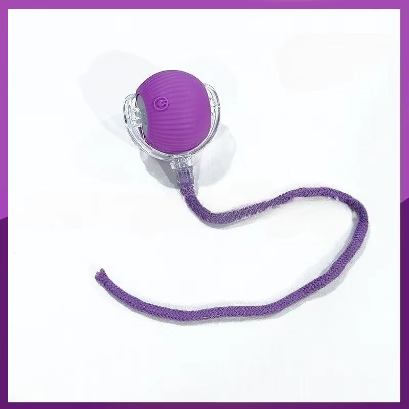 Interactive Cat Rolling Ball Toy