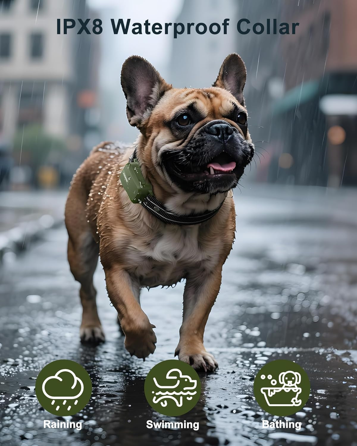 Dog Training Shock Collar