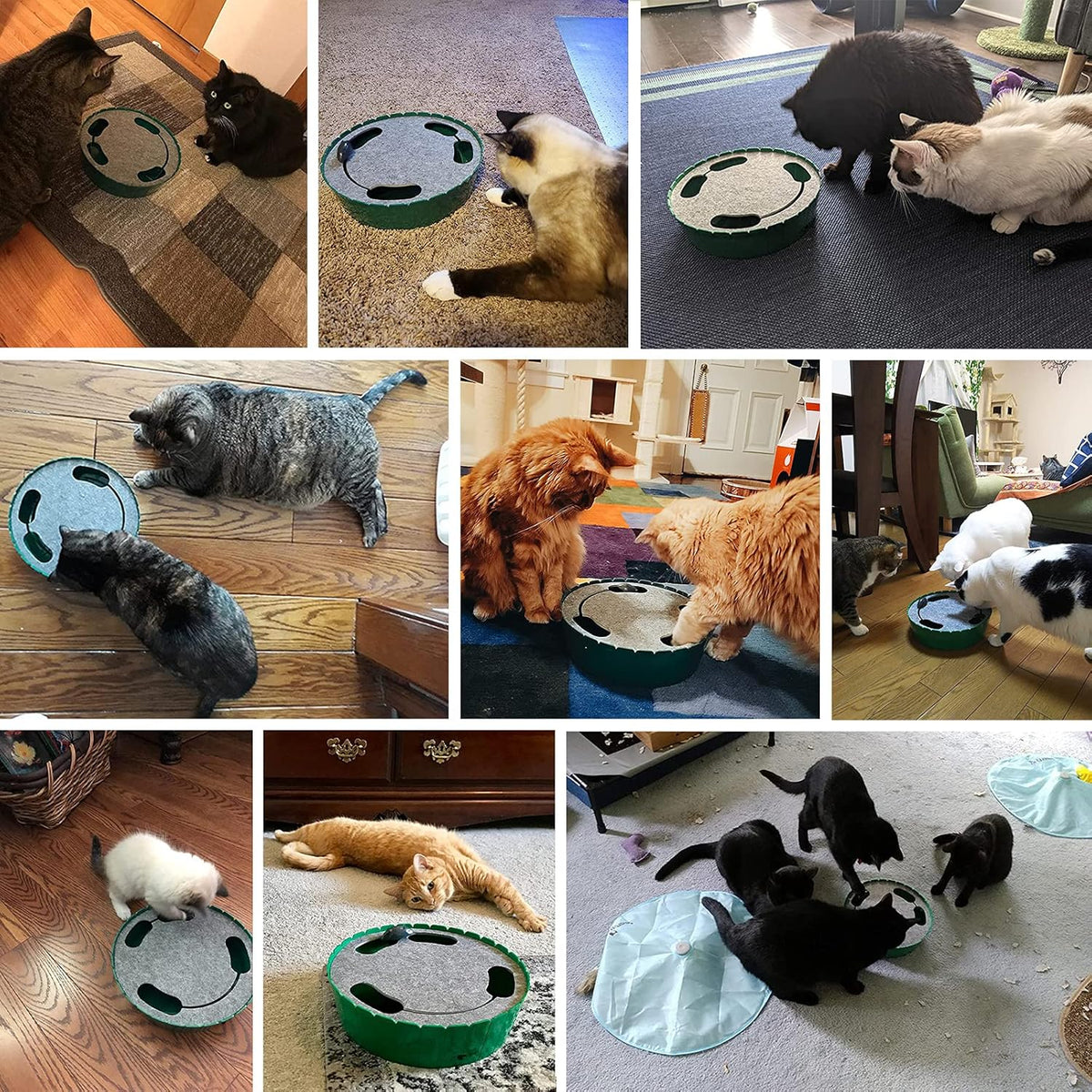 Interactive Electronic Cat Toy
