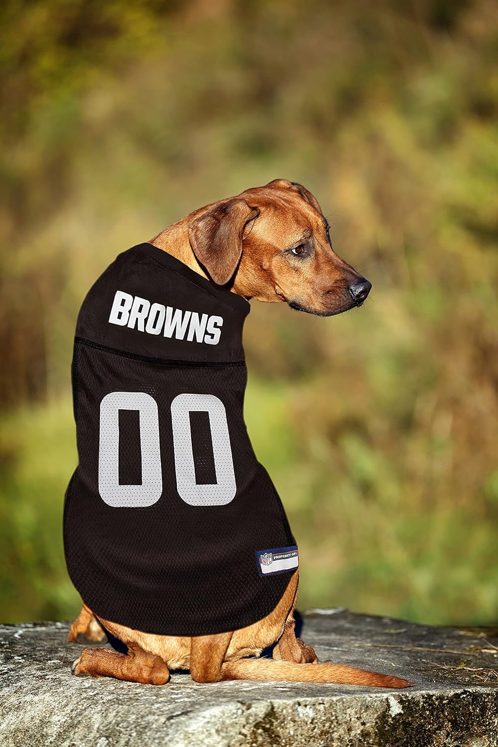 NFL Cleveland Browns Dog Jersey - Medium, Football Jersey Costume for Dogs