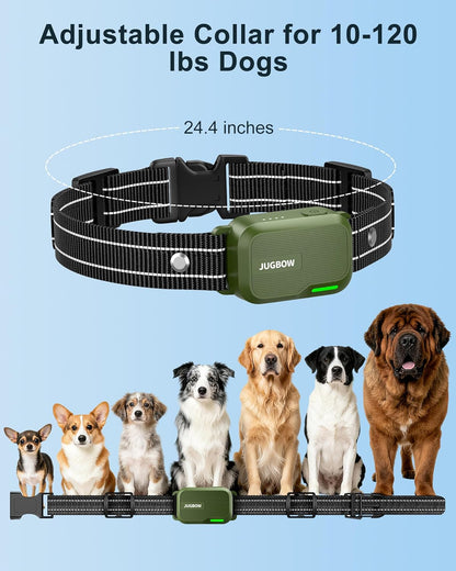 Dog Training Shock Collar
