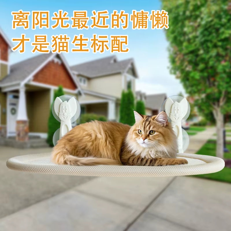 Wall-Mounted Cat Hammock