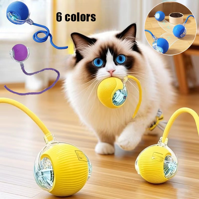 Interactive Cat Rolling Ball Toy